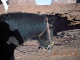 Monument Valley tour - horse at John Ford point