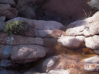 Bouquet Ranch - hike - water