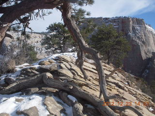 172 84p. Zion National Park - Angels Landing hike