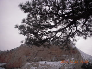 254 84p. Zion National Park - Angels Landing hike - West Rim trail