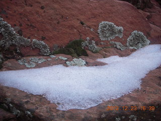258 84p. Zion National Park - Angels Landing hike - West Rim trail - lichens