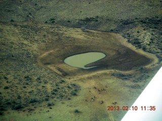 aerial - Eagle Roost flight in Charles R's airplane - watering hole (tank)