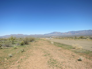 Sean G grapevine pictures - Grapevine