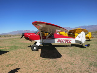 Sean G grapevine pictures - Grapevine airplanes