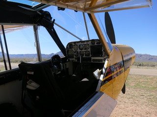 Sean G grapevine pictures