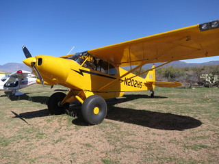Sean G grapevine pictures - Grapevine  airplanes
