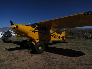 Sean G grapevine pictures - Grapevine airplanes