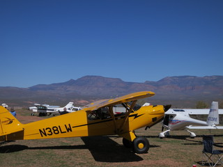 Sean G grapevine pictures - Grapevine airplanes