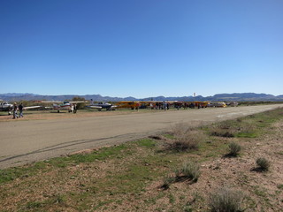 Sean G grapevine pictures - Grapevine