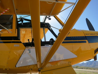 Sean G grapevine pictures - Grapevine airplane and people