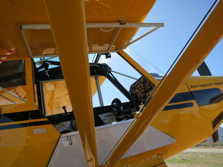 Sean G grapevine pictures - Grapevine airplanes and people