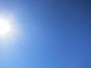 Sean G grapevine pictures - two airplanes above