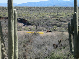 Sean G grapevine pictures - Bouquet Ranch - view