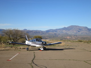 Sean G grapevine pictures - Grapevine