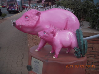 Sean G picture - N8377W in flight