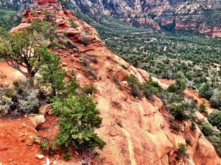 Sedona - Pink Jeep tour - Fatemah and Kevin and cool tree