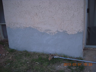 back of my house repairs