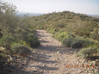 Lost Dog Wash hike - green desert - green Adam