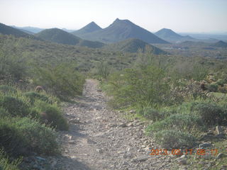 Lost Dog Wash hike - green desert - green Adam