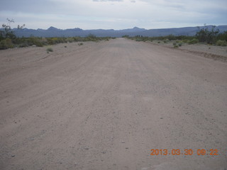 Alamo Lake run