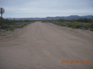 Alamo Lake run