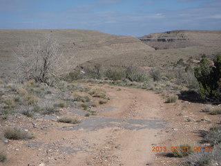 Grand Gulch run