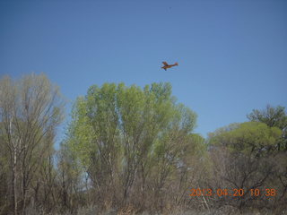 36 88l. Double Circle Ranch at Eagle Creek - landing airplane