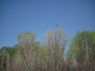 38 88l. Double Circle Ranch at Eagle Creek - landing airplane