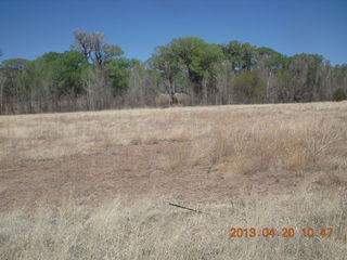 49 88l. Double Circle Ranch at Eagle Creek run