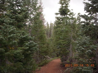 Bryce Canyon - Bristlecone Loop