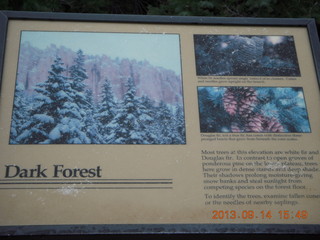 Bryce Canyon - Dark Forest sign
