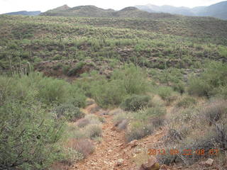 Elephant Mountain hike