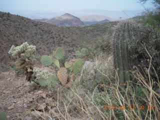 Elephant Mountain hike