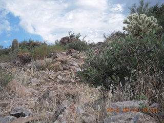 Elephant Mountain hike - Adam on top