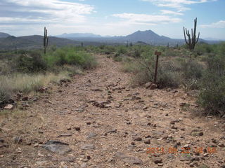 Elephant Mountain hike