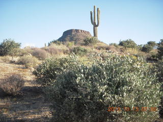 Brown's Ranch run - Brown's Mountain