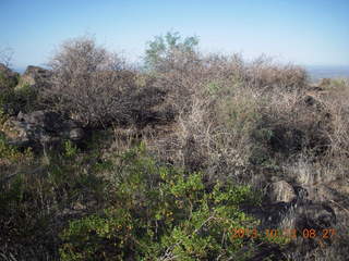 Brown's Ranch run - Cone Mountain