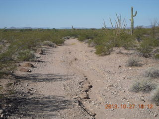 Windmill airstrip run