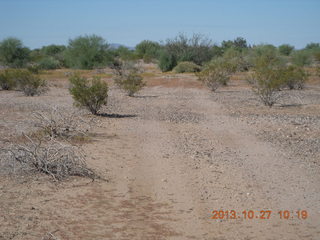 Windmill airstrip run