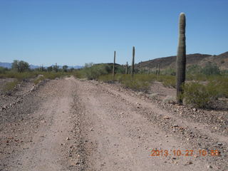 Windmill airstrip run