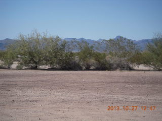 Alamo Lake - Wayside