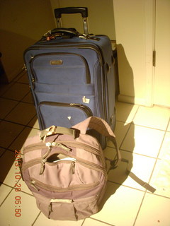 luggage for trip