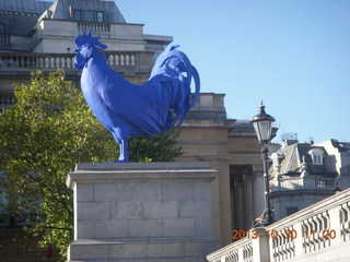 London - blue cock