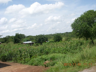 53 8f1. Uganda - drive north to Chobe Sarari Lodge