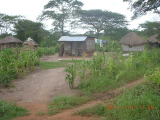 84 8f1. Uganda - drive north to Chobe Sarari Lodge