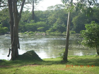 152 8f1. Uganda - Chobe Sarari Lodge - Nile river