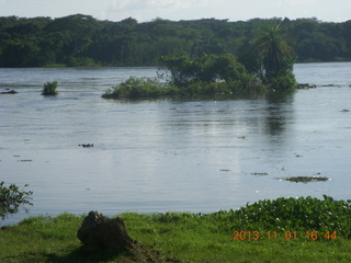 160 8f1. Uganda - Chobe Sarari Lodge - Nile River