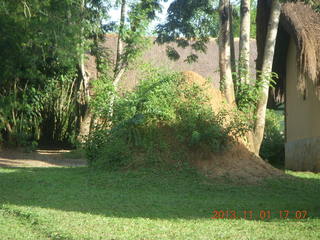 186 8f1. Uganda - Chobe Sarari Lodge - termite mound