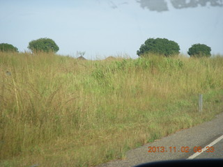 19 8f2. Uganda - drive to Murcheson Falls National Park