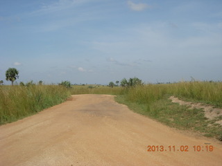 79 8f2. Uganda - drive to Murcheson Falls National Park